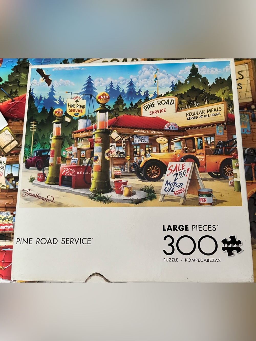 Pine Road Station jigsaw puzzle-300 large pieces-Buffalo